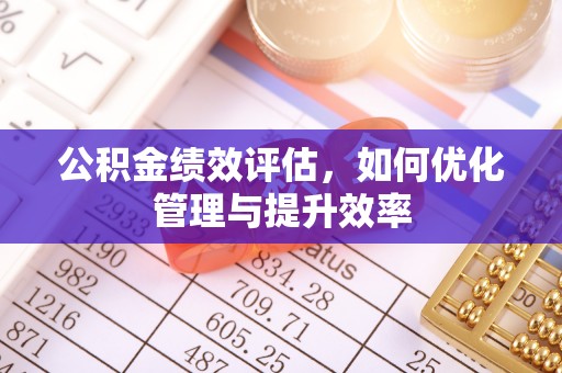 甘泉公积金绩效评估，如何优化管理与提升效率