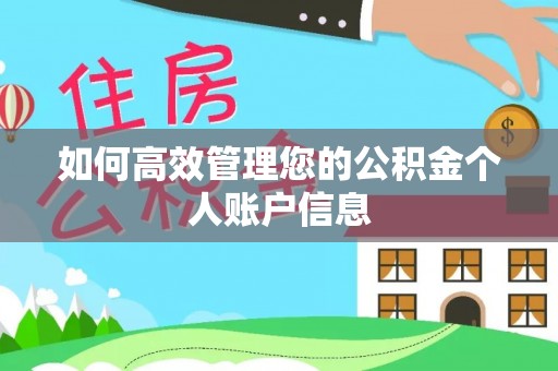 甘泉如何高效管理您的公积金个人账户信息