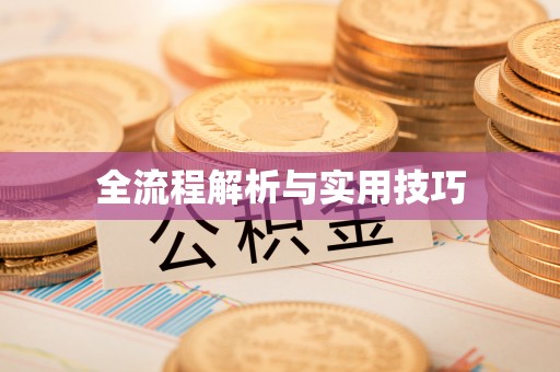 甘泉全流程解析与实用技巧
