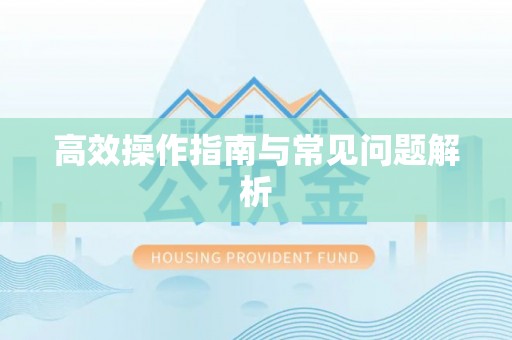 甘泉高效操作指南与常见问题解析