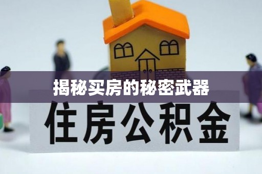 甘泉揭秘买房的秘密武器