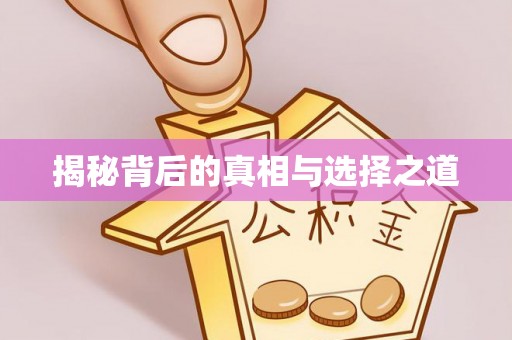甘泉揭秘背后的真相与选择之道