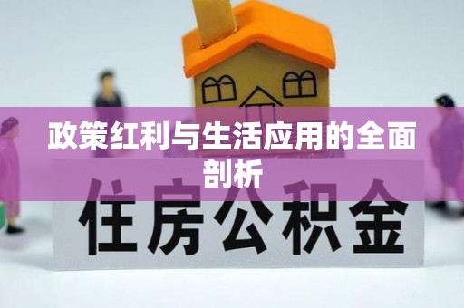甘泉政策红利与生活应用的全面剖析