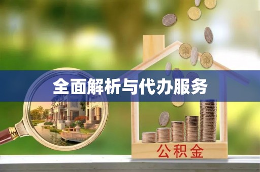 甘泉全面解析与代办服务