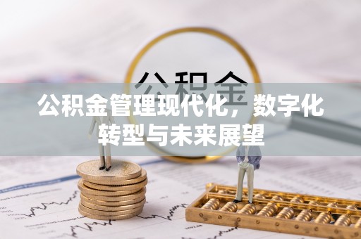 甘泉公积金管理现代化，数字化转型与未来展望
