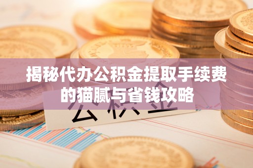 甘泉揭秘代办公积金提取手续费的猫腻与省钱攻略