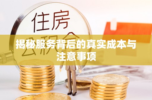 甘泉揭秘服务背后的真实成本与注意事项