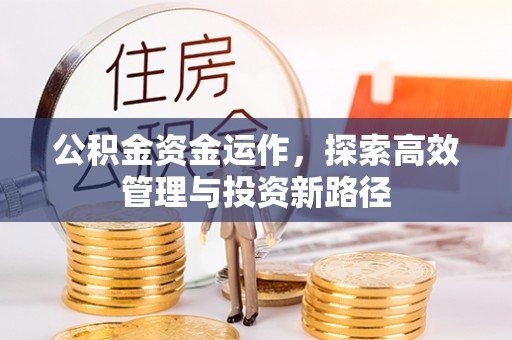 甘泉公积金资金运作，探索高效管理与投资新路径