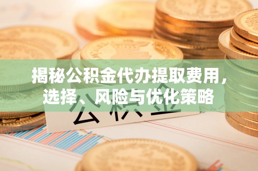 甘泉揭秘公积金代办提取费用，选择、风险与优化策略