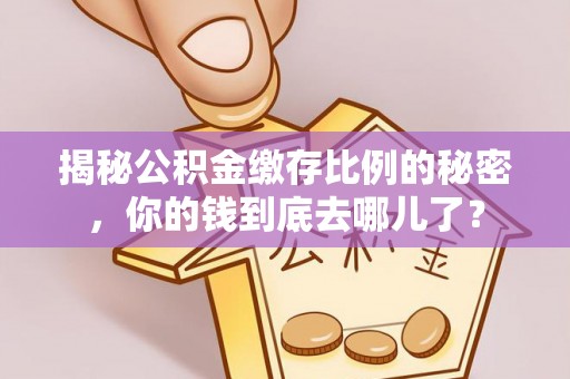 甘泉揭秘公积金缴存比例的秘密，你的钱到底去哪儿了？