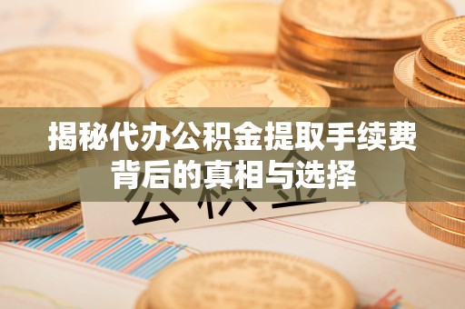甘泉揭秘代办公积金提取手续费背后的真相与选择