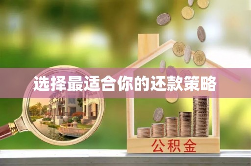 甘泉选择最适合你的还款策略