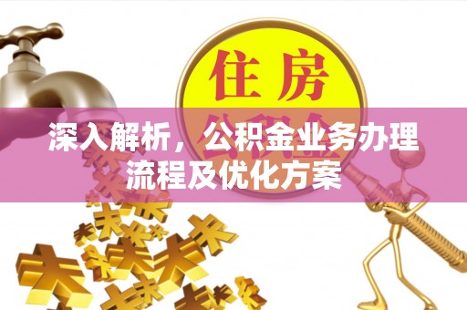 甘泉深入解析，公积金业务办理流程及优化方案