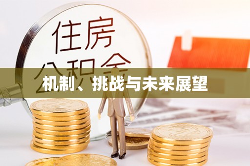 甘泉机制、挑战与未来展望