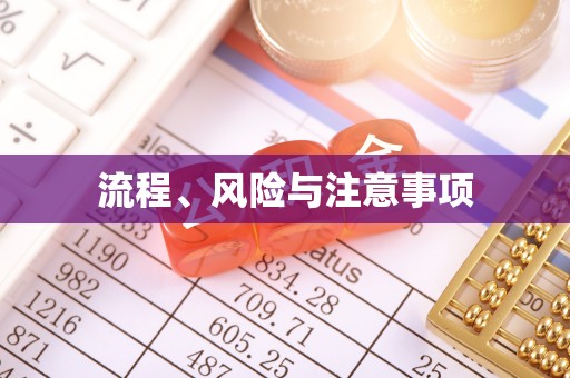 甘泉流程、风险与注意事项